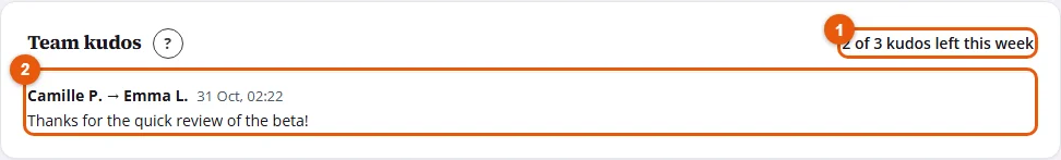 The Team kudos feed and the kudos left this week